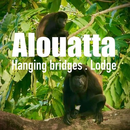 Alouatta Lodge And Canopy Cahuita Ngoại thất bức ảnh