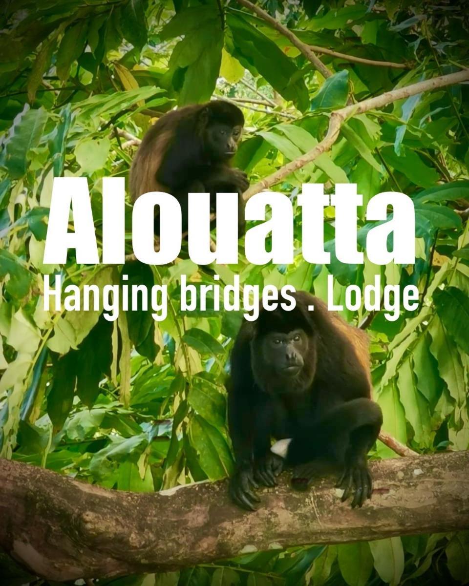 Alouatta Lodge And Canopy Cahuita Ngoại thất bức ảnh