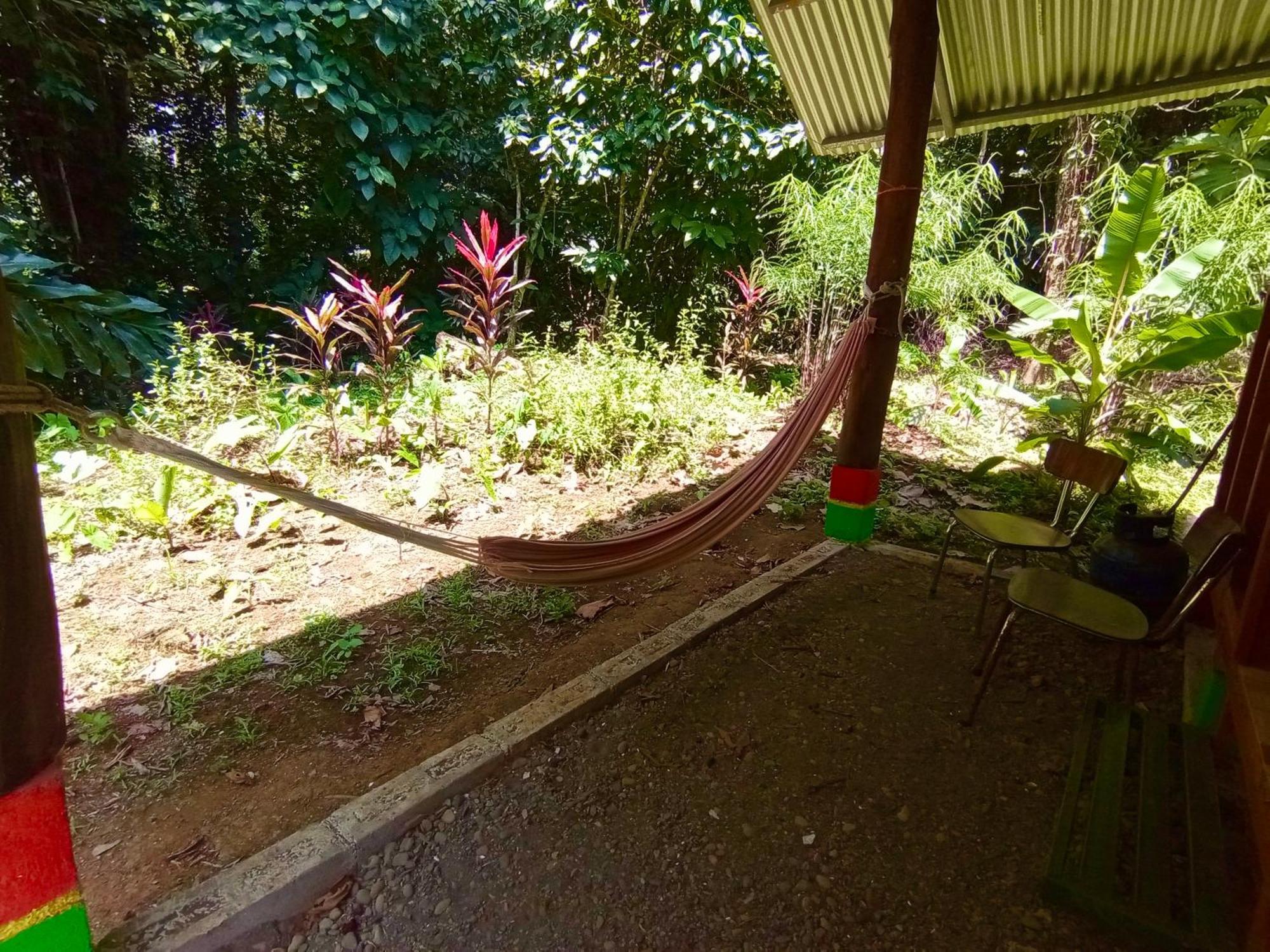 Alouatta Lodge And Canopy Cahuita Ngoại thất bức ảnh