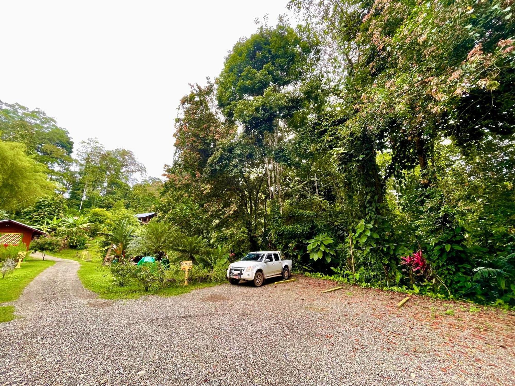 Alouatta Lodge And Canopy Cahuita Ngoại thất bức ảnh