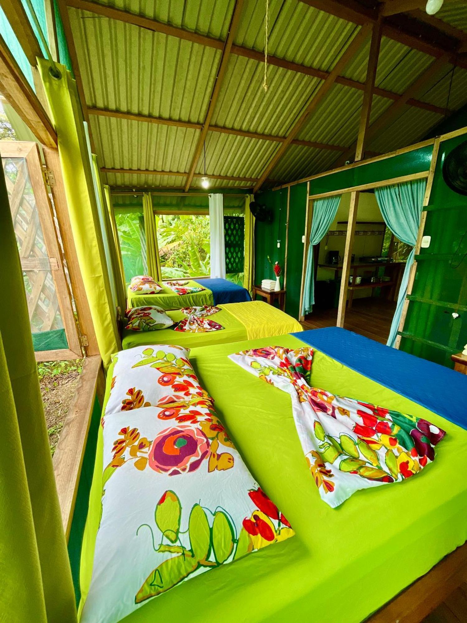 Alouatta Lodge And Canopy Cahuita Ngoại thất bức ảnh