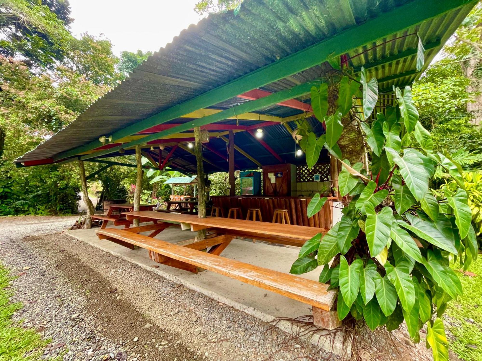 Alouatta Lodge And Canopy Cahuita Ngoại thất bức ảnh