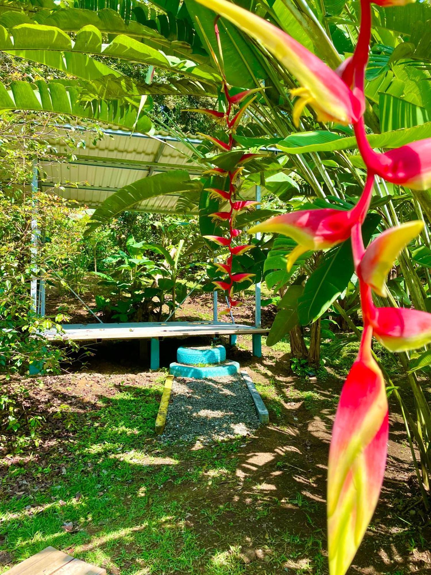 Alouatta Lodge And Canopy Cahuita Ngoại thất bức ảnh