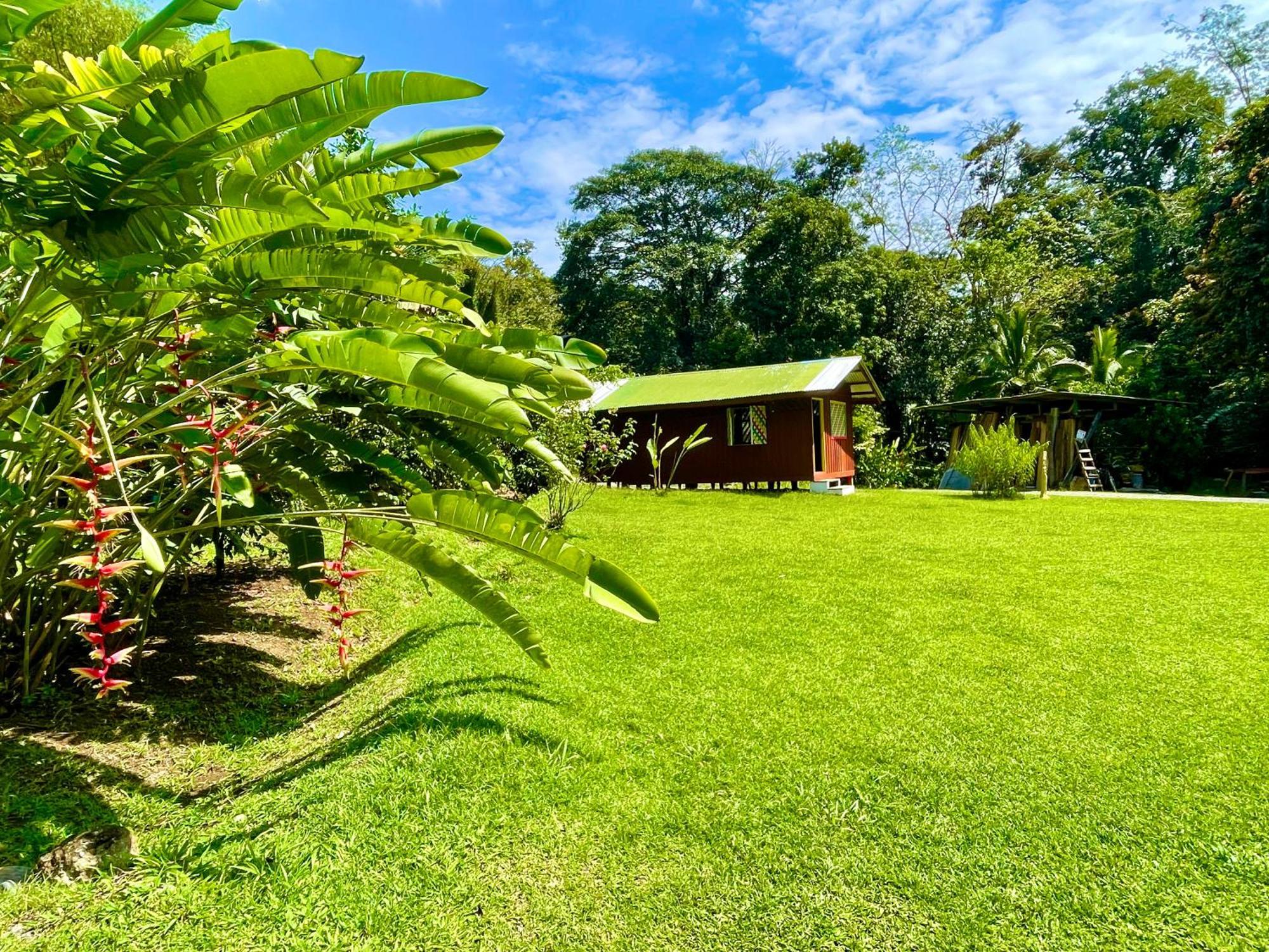 Alouatta Lodge And Canopy Cahuita Ngoại thất bức ảnh