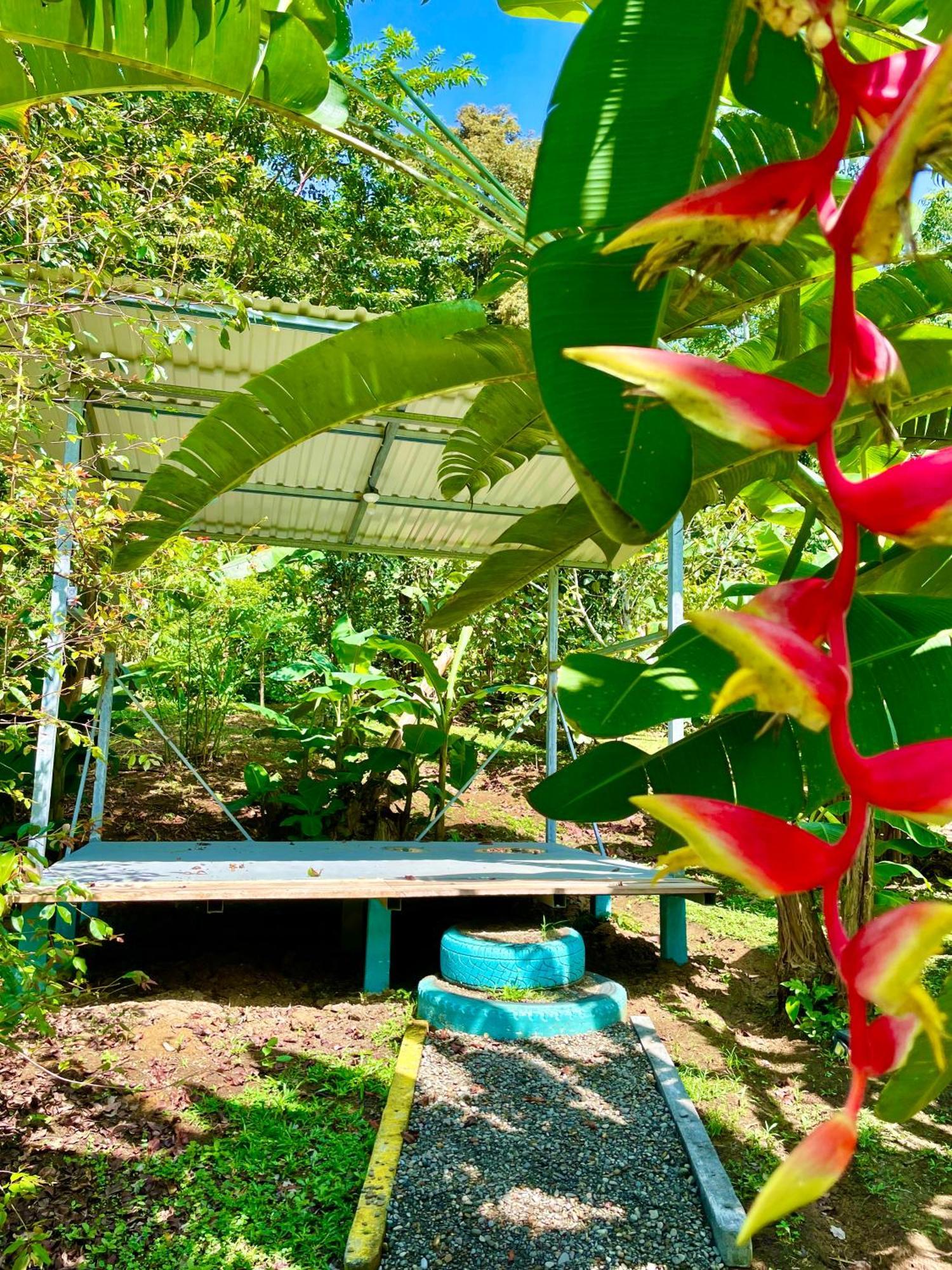 Alouatta Lodge And Canopy Cahuita Ngoại thất bức ảnh