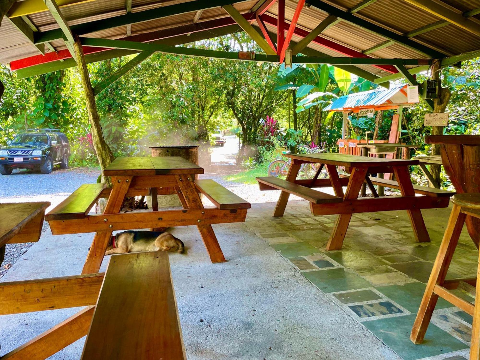 Alouatta Lodge And Canopy Cahuita Ngoại thất bức ảnh