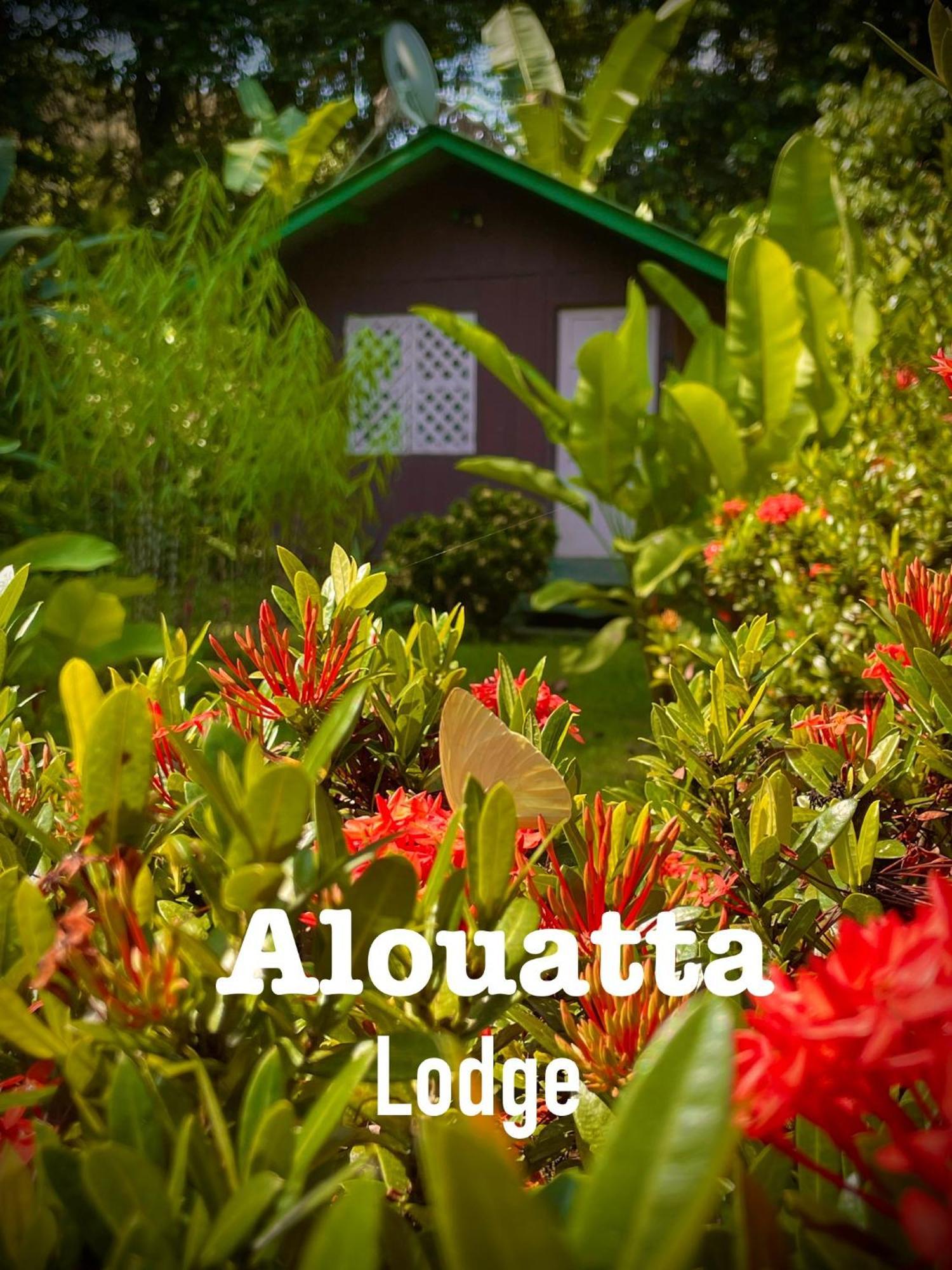Alouatta Lodge And Canopy Cahuita Ngoại thất bức ảnh