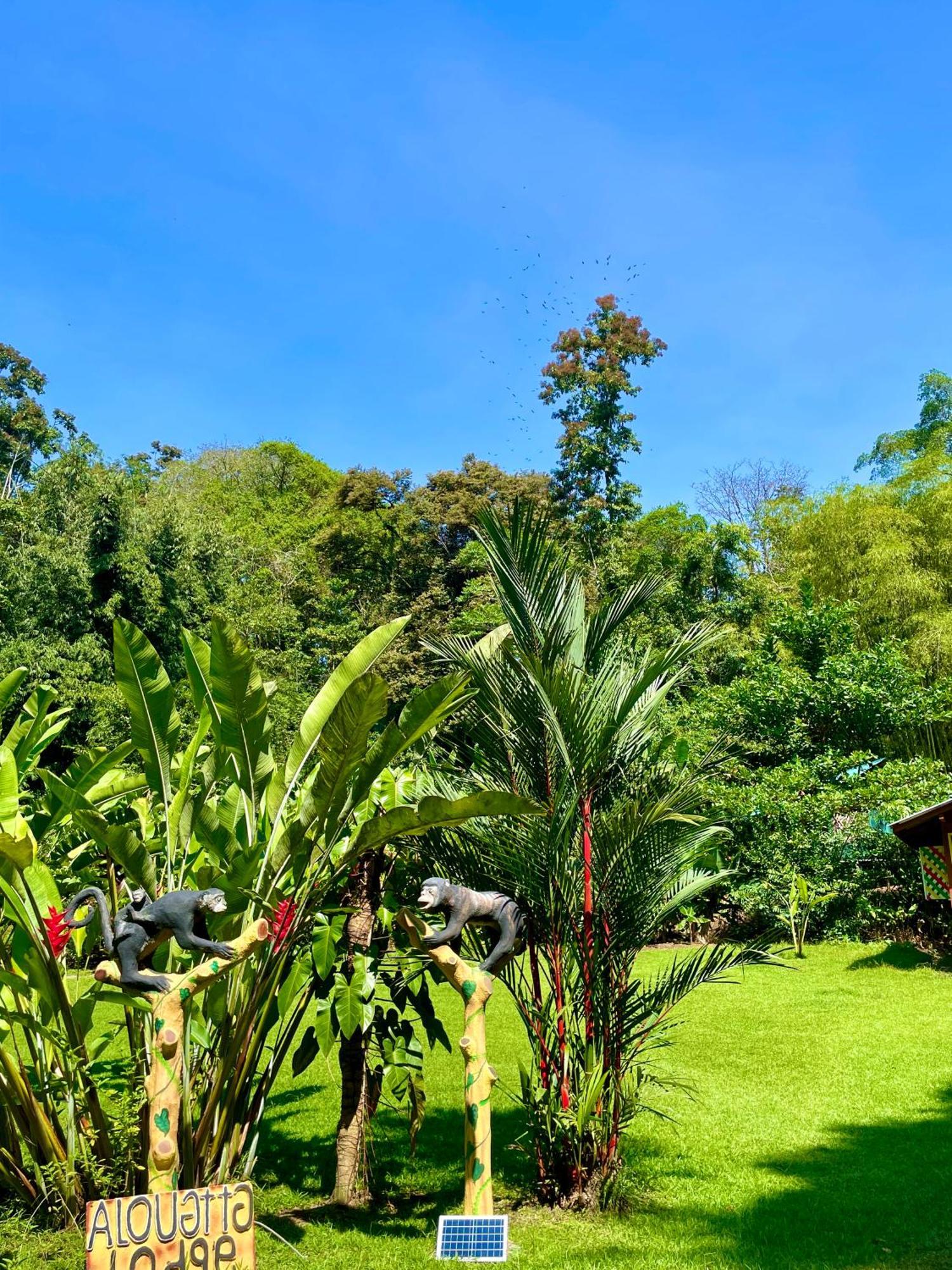 Alouatta Lodge And Canopy Cahuita Ngoại thất bức ảnh