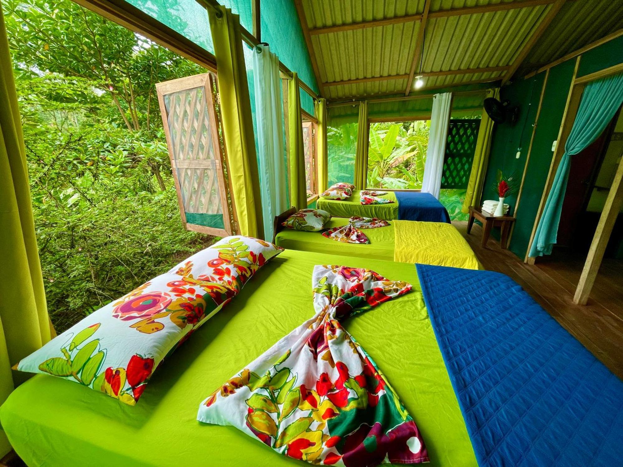 Alouatta Lodge And Canopy Cahuita Ngoại thất bức ảnh