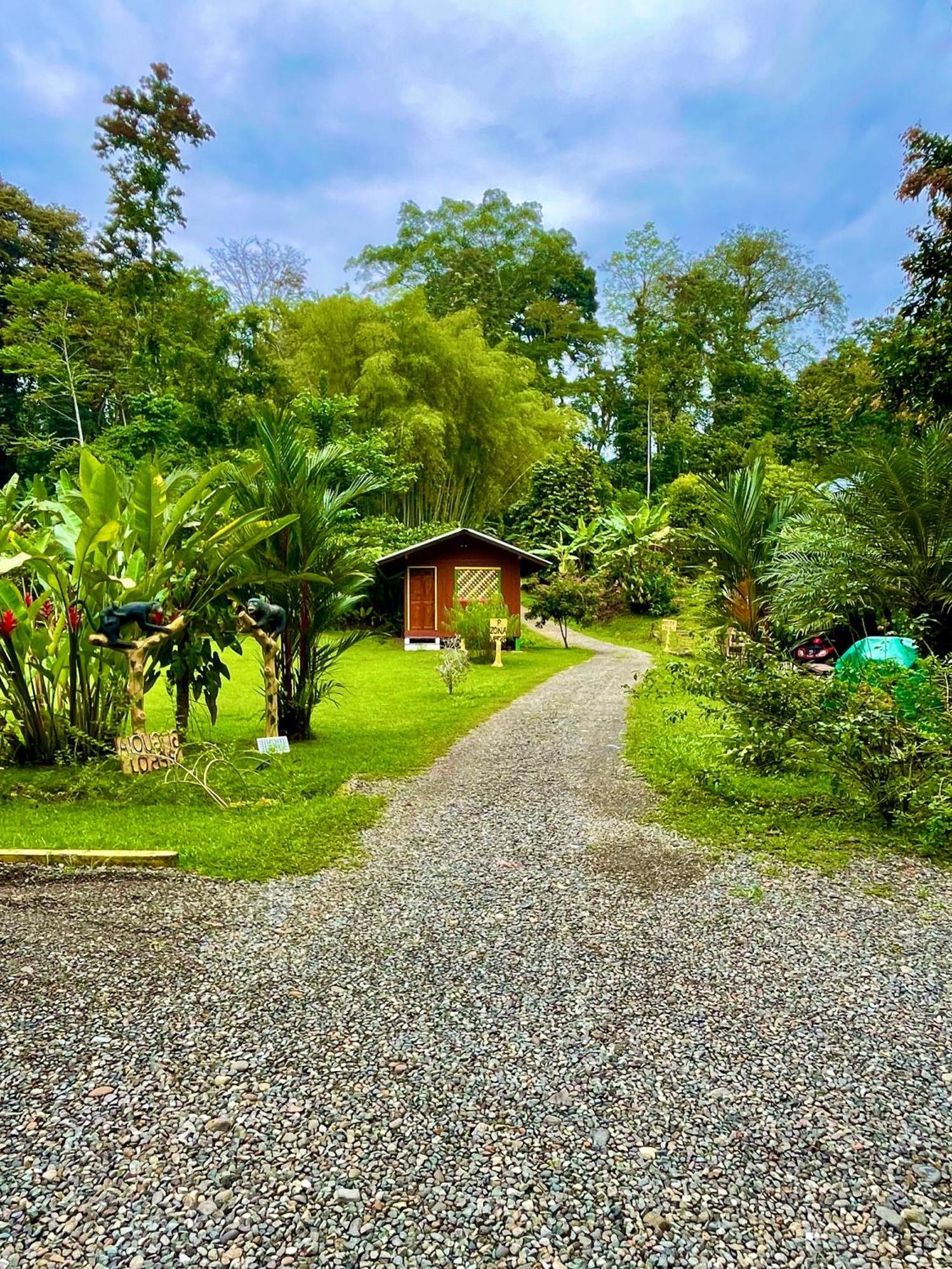 Alouatta Lodge And Canopy Cahuita Ngoại thất bức ảnh