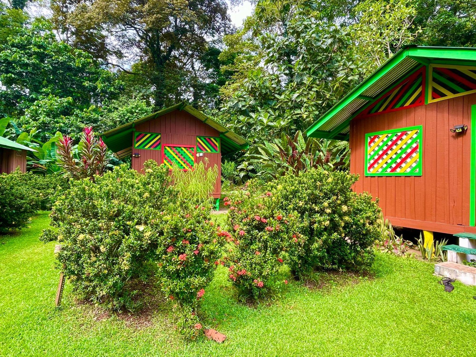 Alouatta Lodge And Canopy Cahuita Ngoại thất bức ảnh