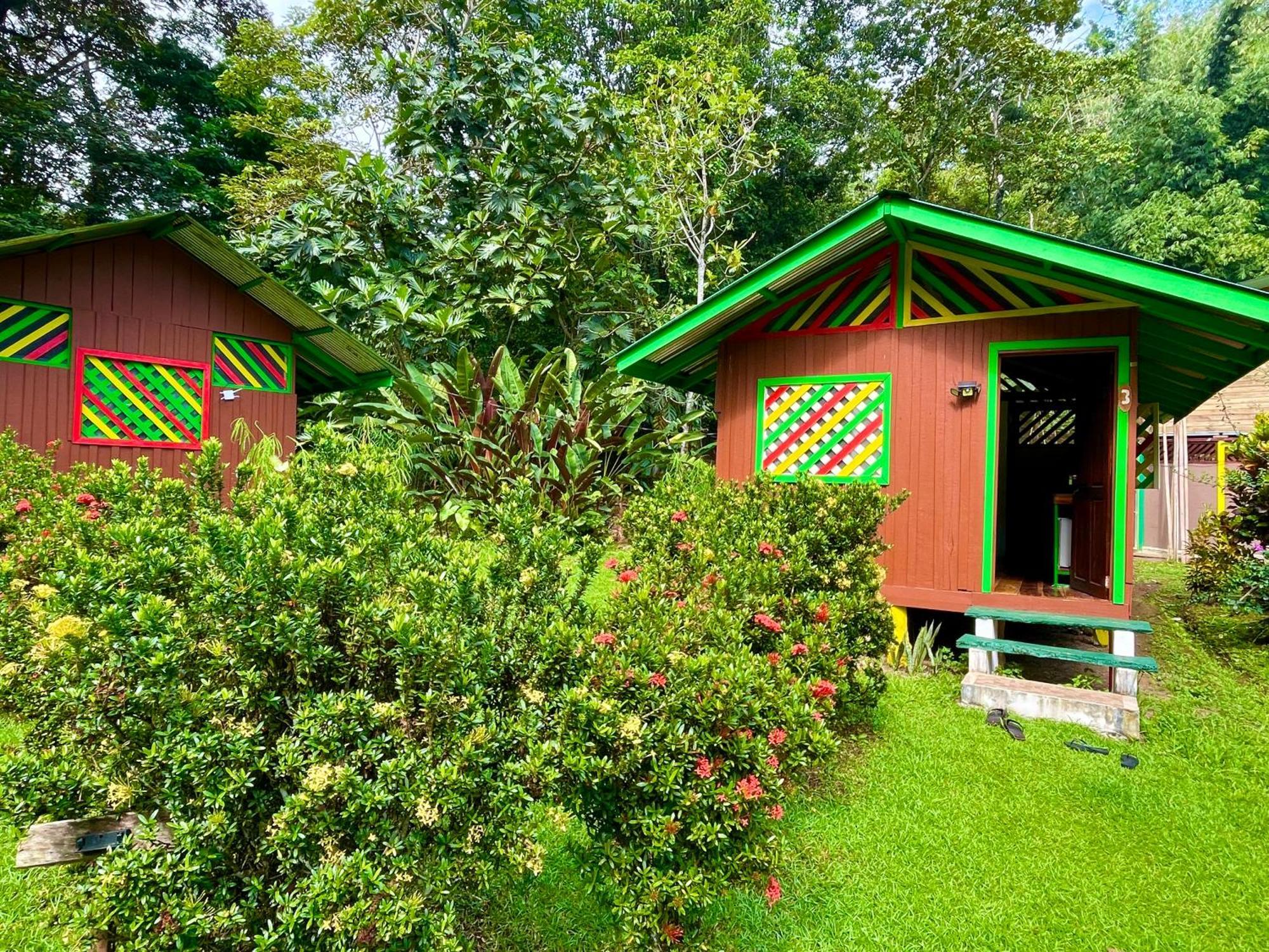 Alouatta Lodge And Canopy Cahuita Ngoại thất bức ảnh