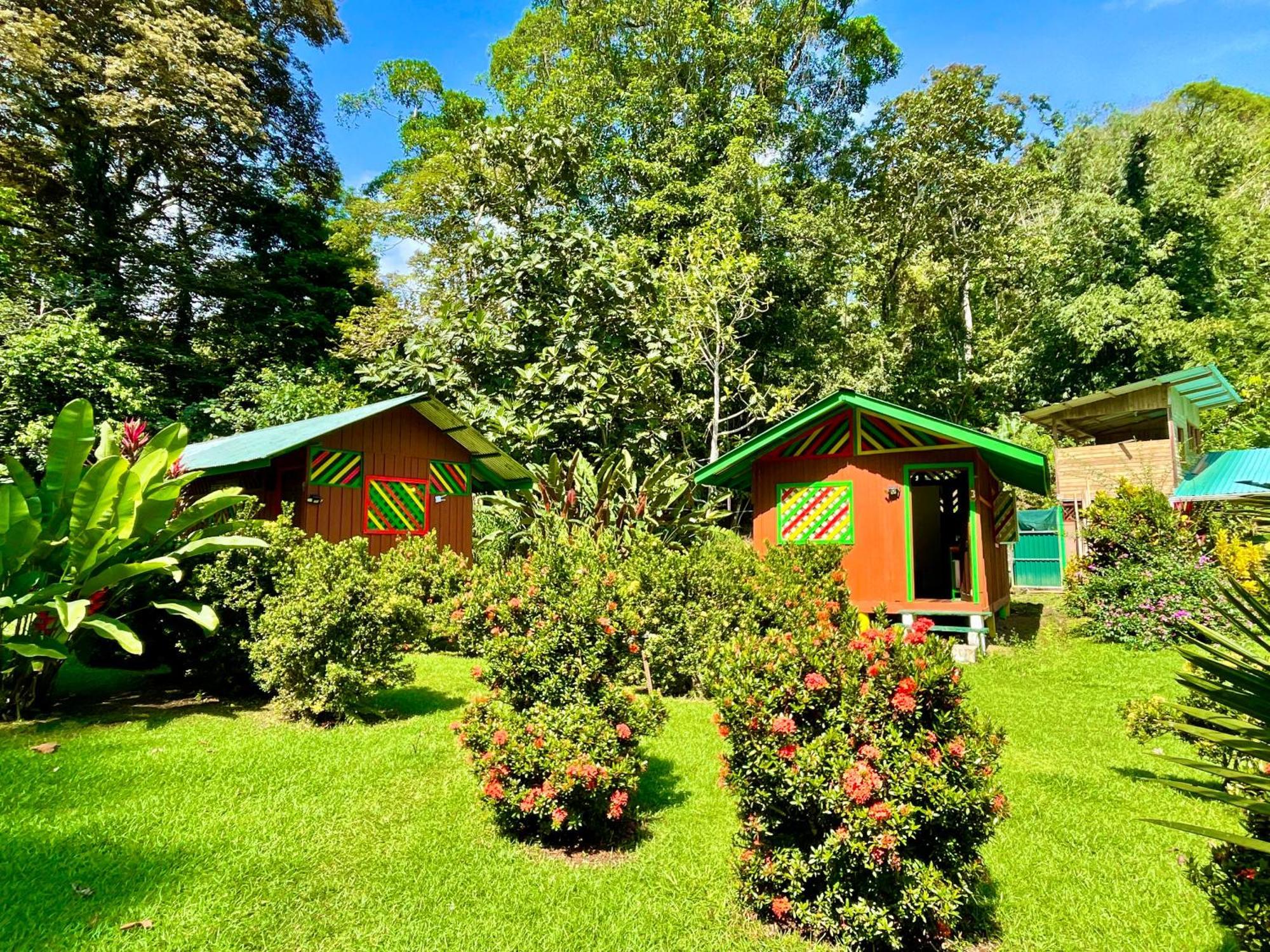 Alouatta Lodge And Canopy Cahuita Ngoại thất bức ảnh