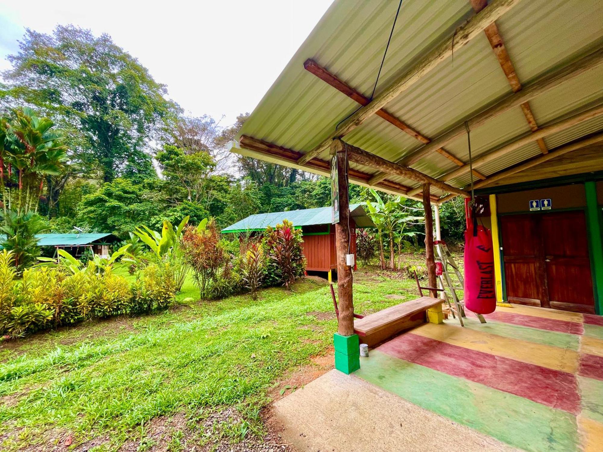 Alouatta Lodge And Canopy Cahuita Ngoại thất bức ảnh