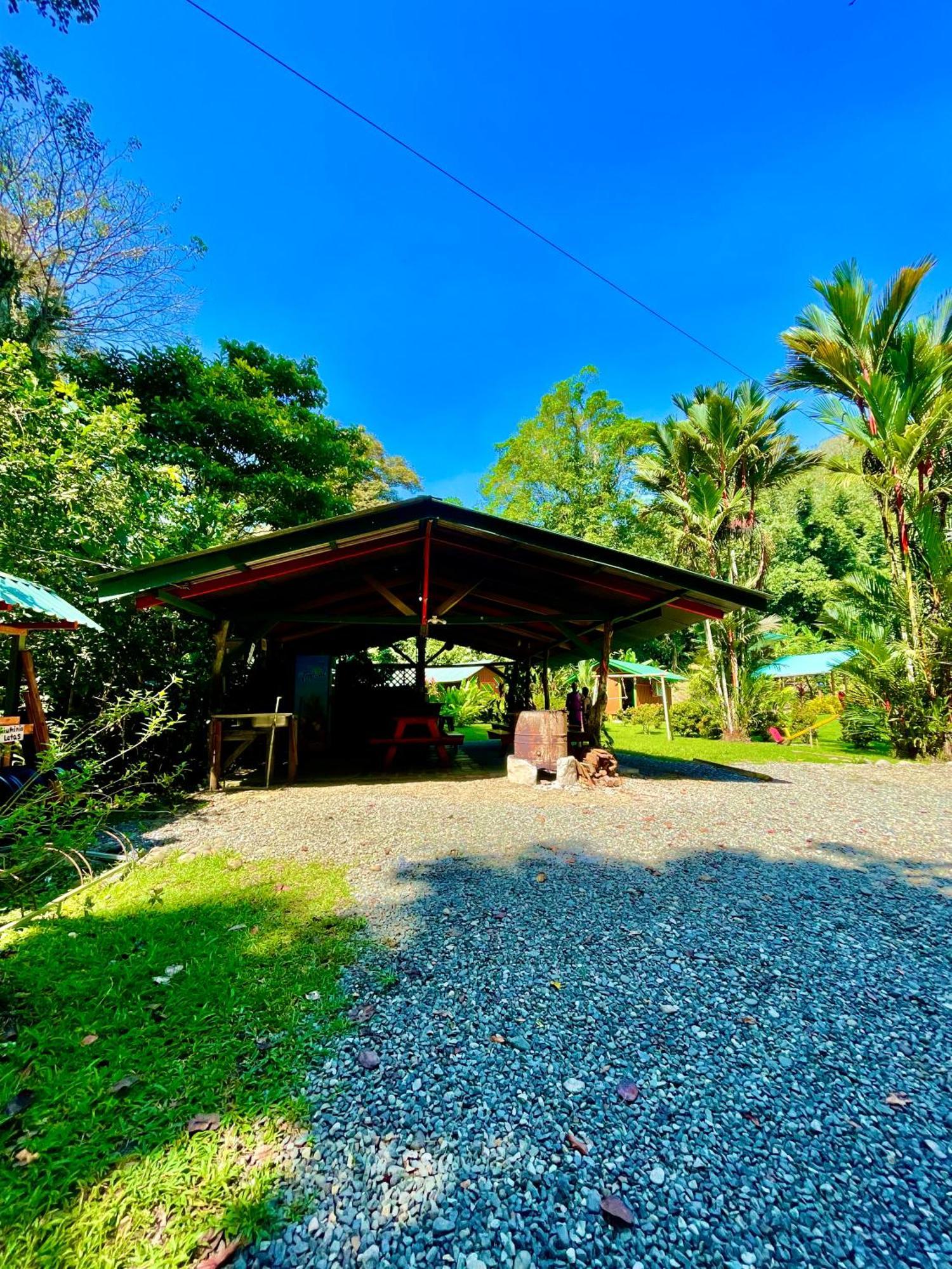 Alouatta Lodge And Canopy Cahuita Ngoại thất bức ảnh