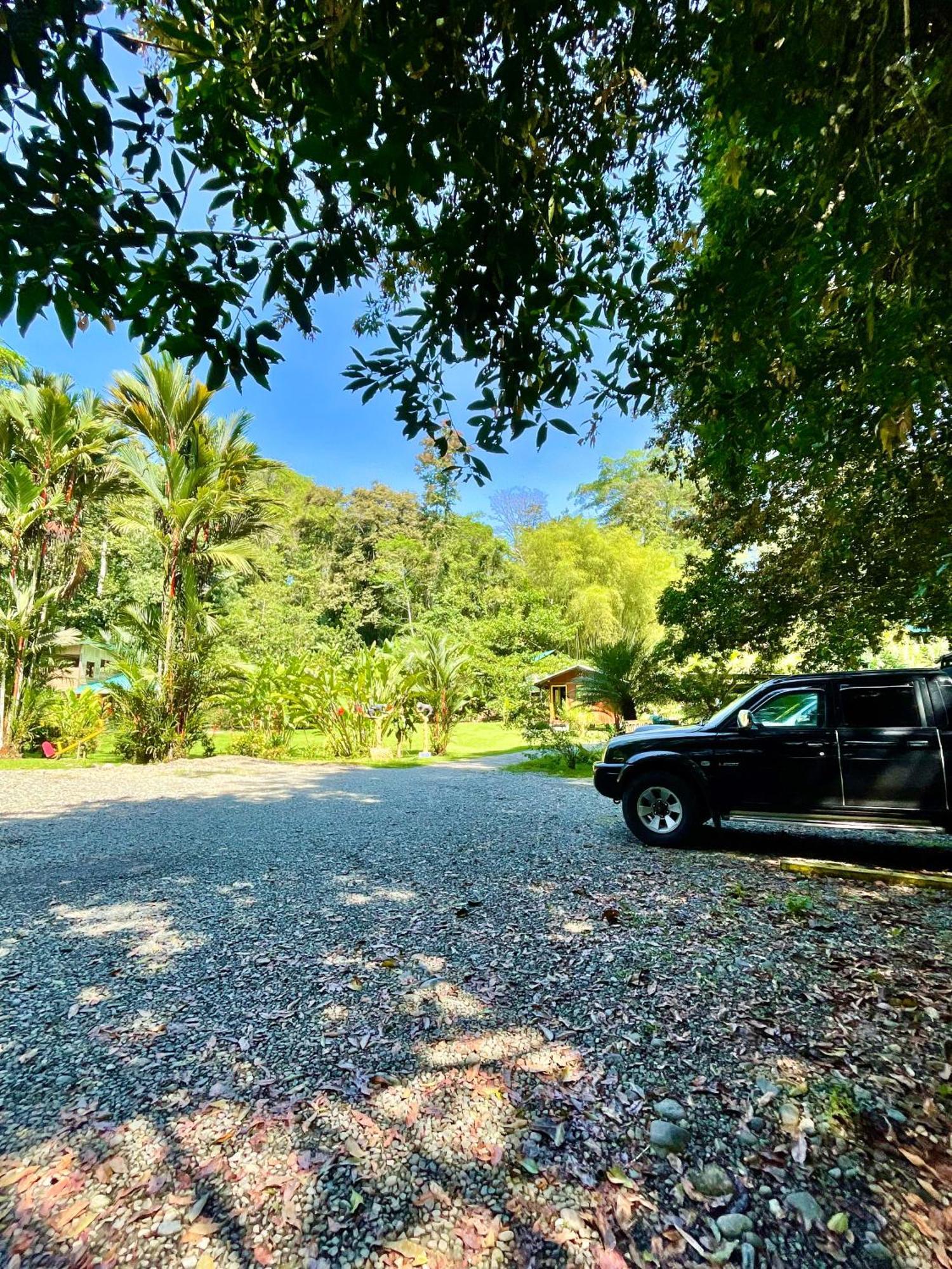 Alouatta Lodge And Canopy Cahuita Ngoại thất bức ảnh