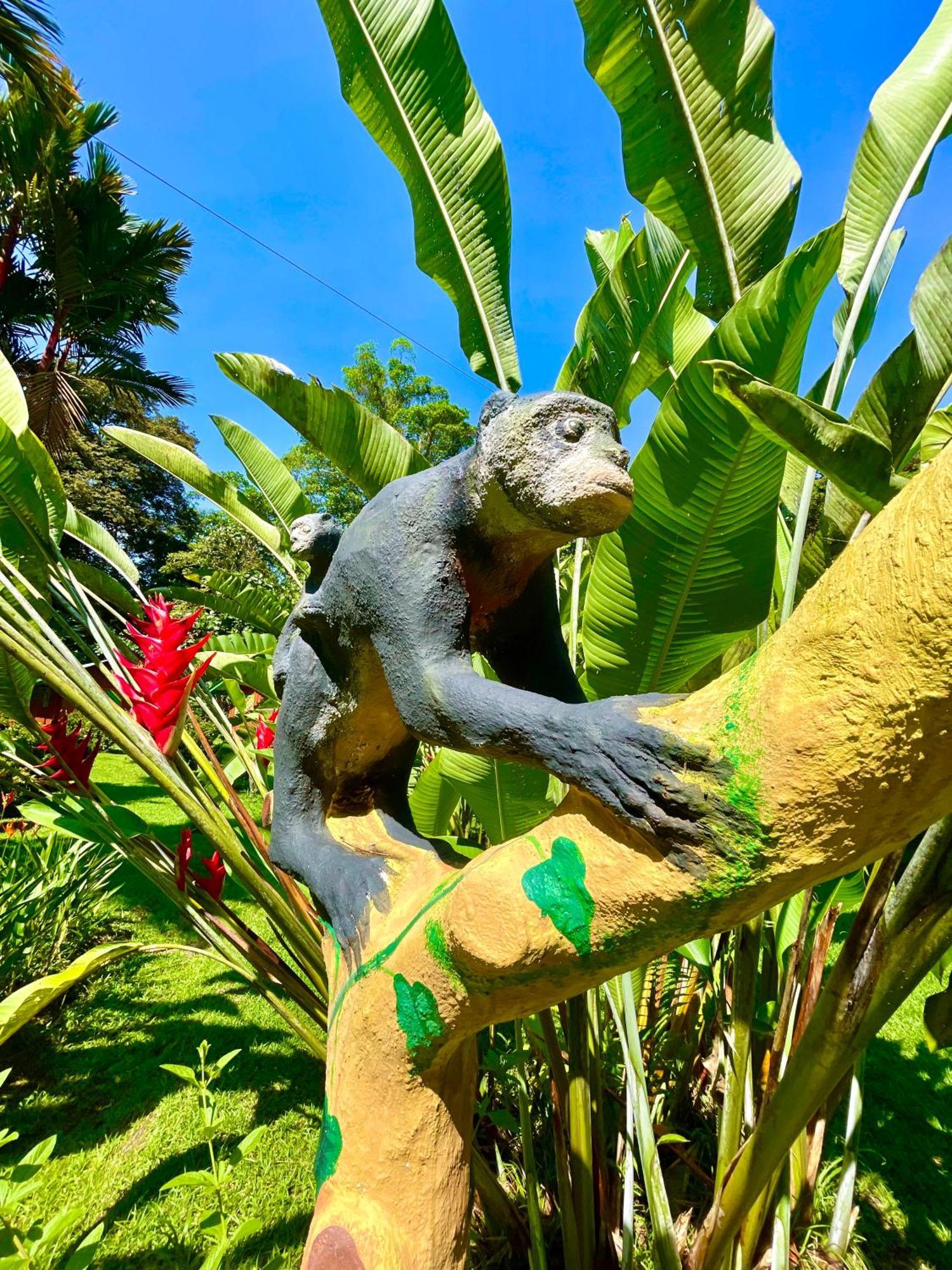 Alouatta Lodge And Canopy Cahuita Ngoại thất bức ảnh