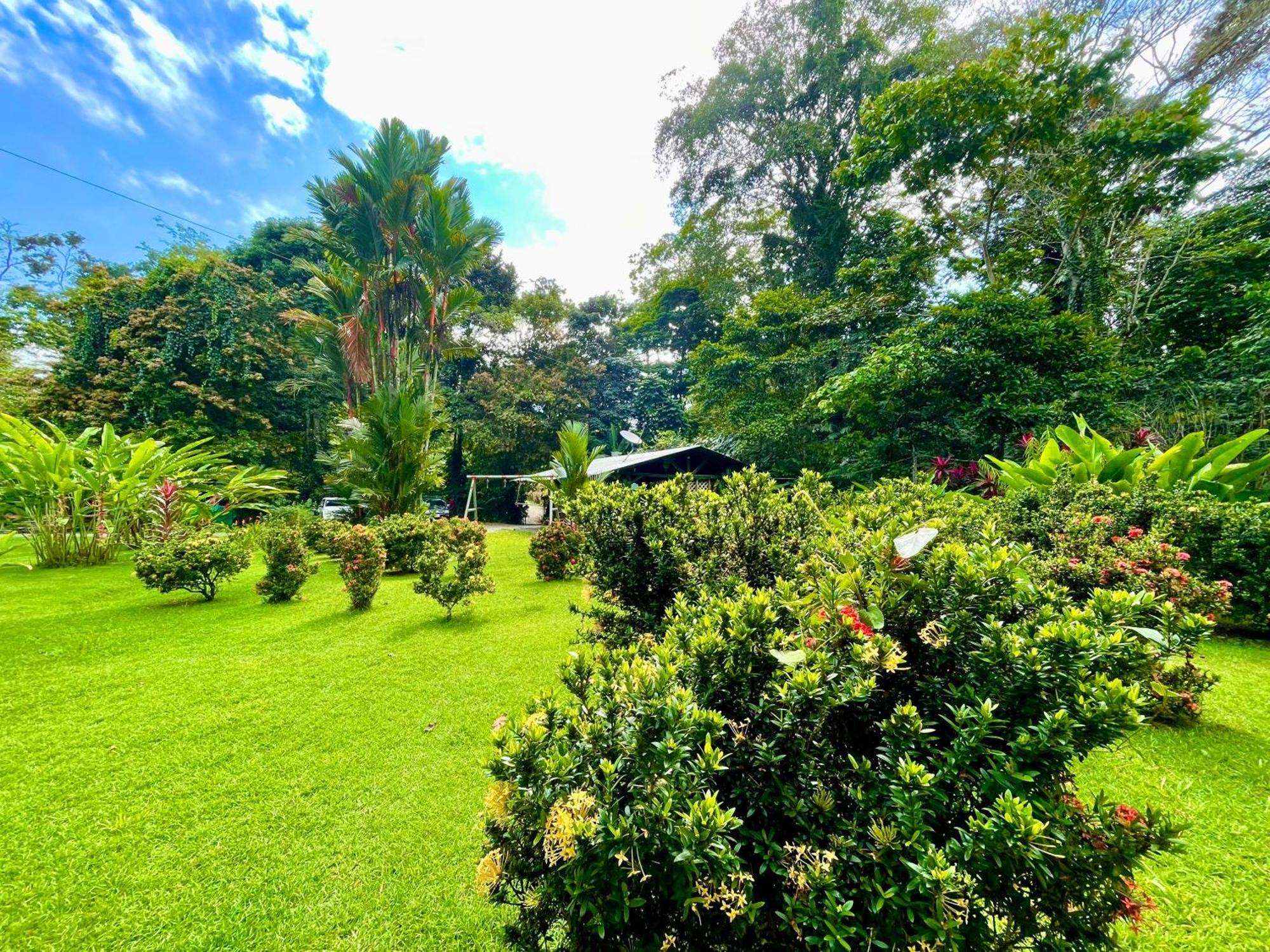 Alouatta Lodge And Canopy Cahuita Ngoại thất bức ảnh