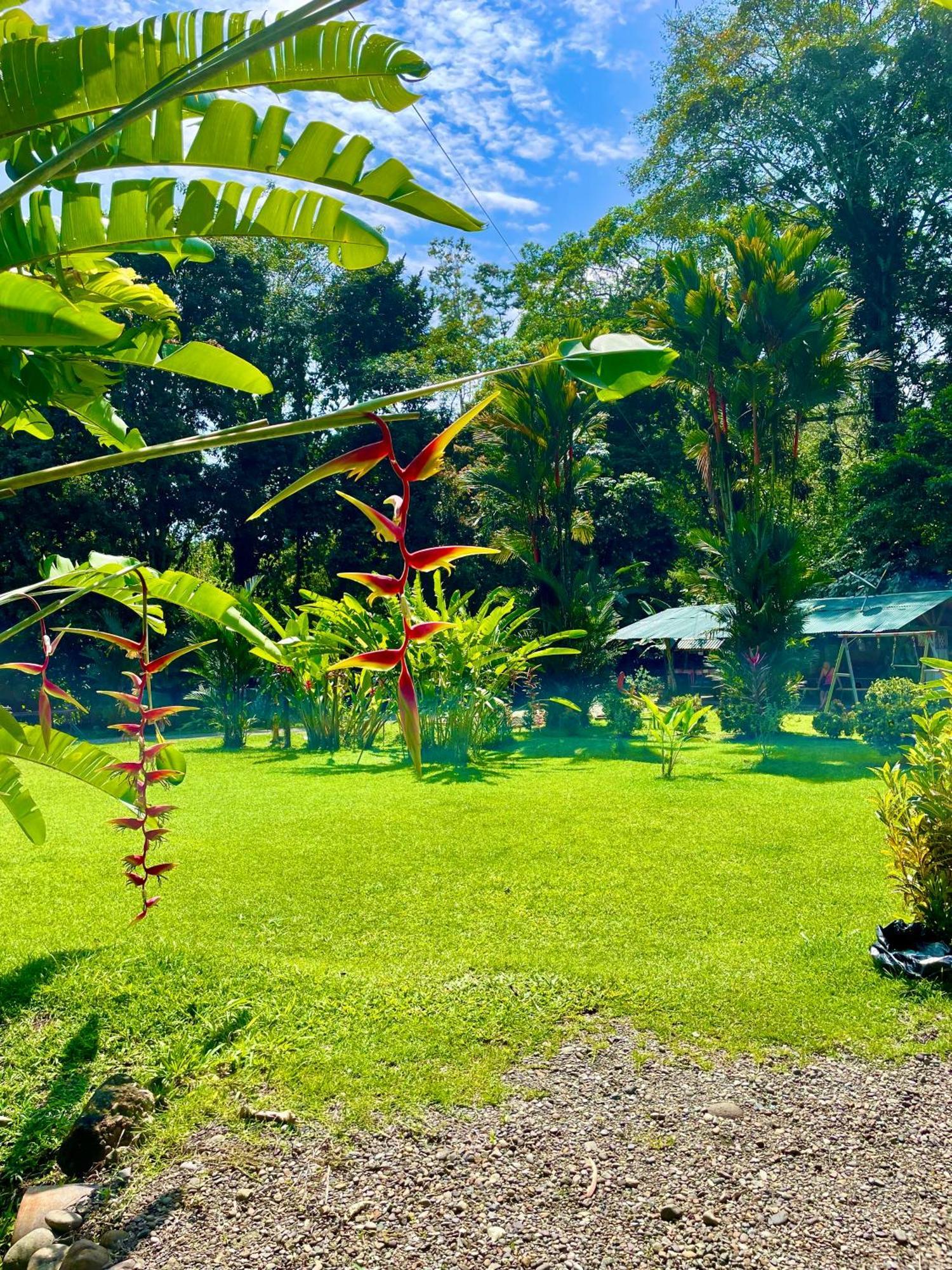 Alouatta Lodge And Canopy Cahuita Ngoại thất bức ảnh