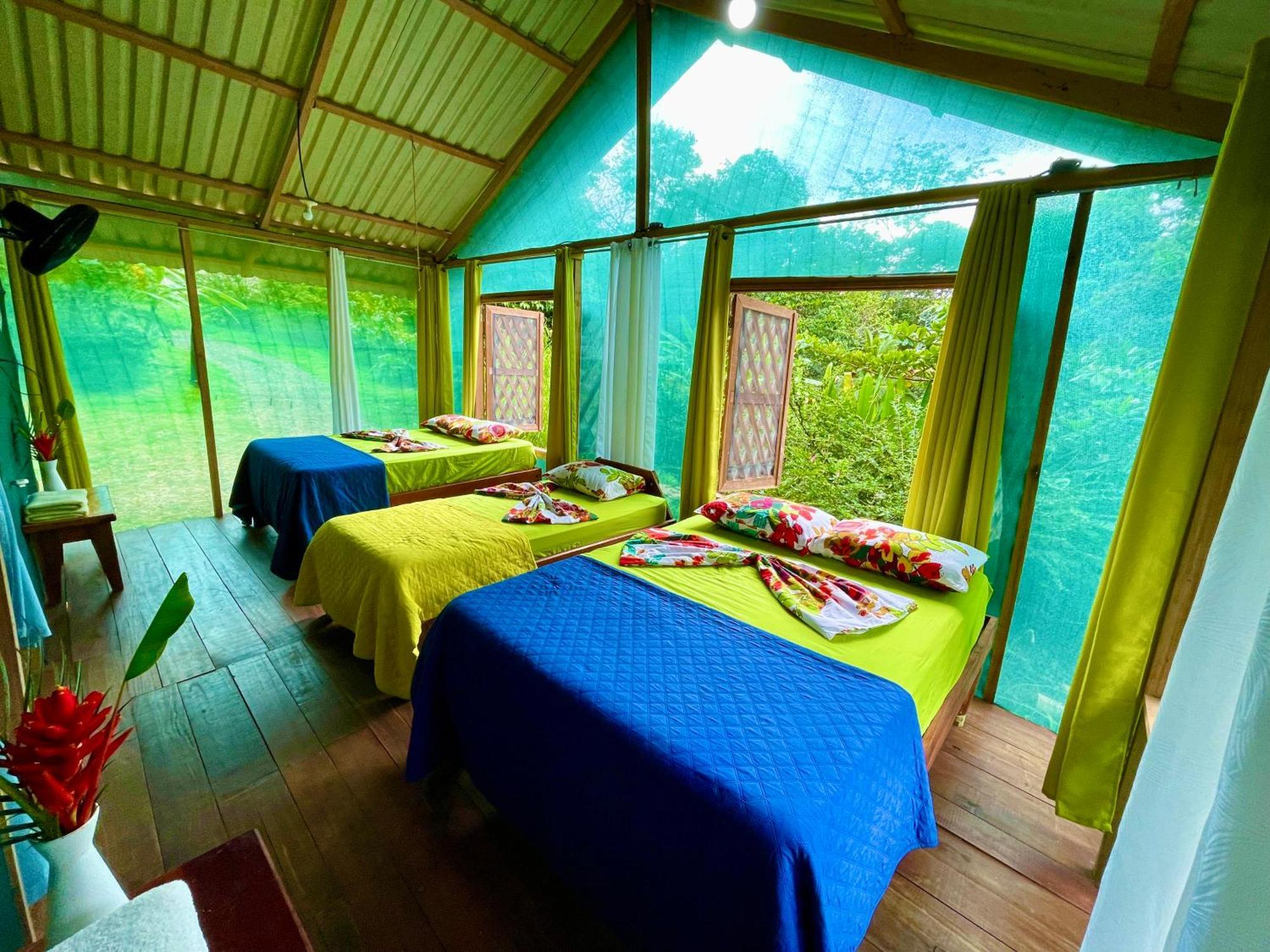 Alouatta Lodge And Canopy Cahuita Ngoại thất bức ảnh