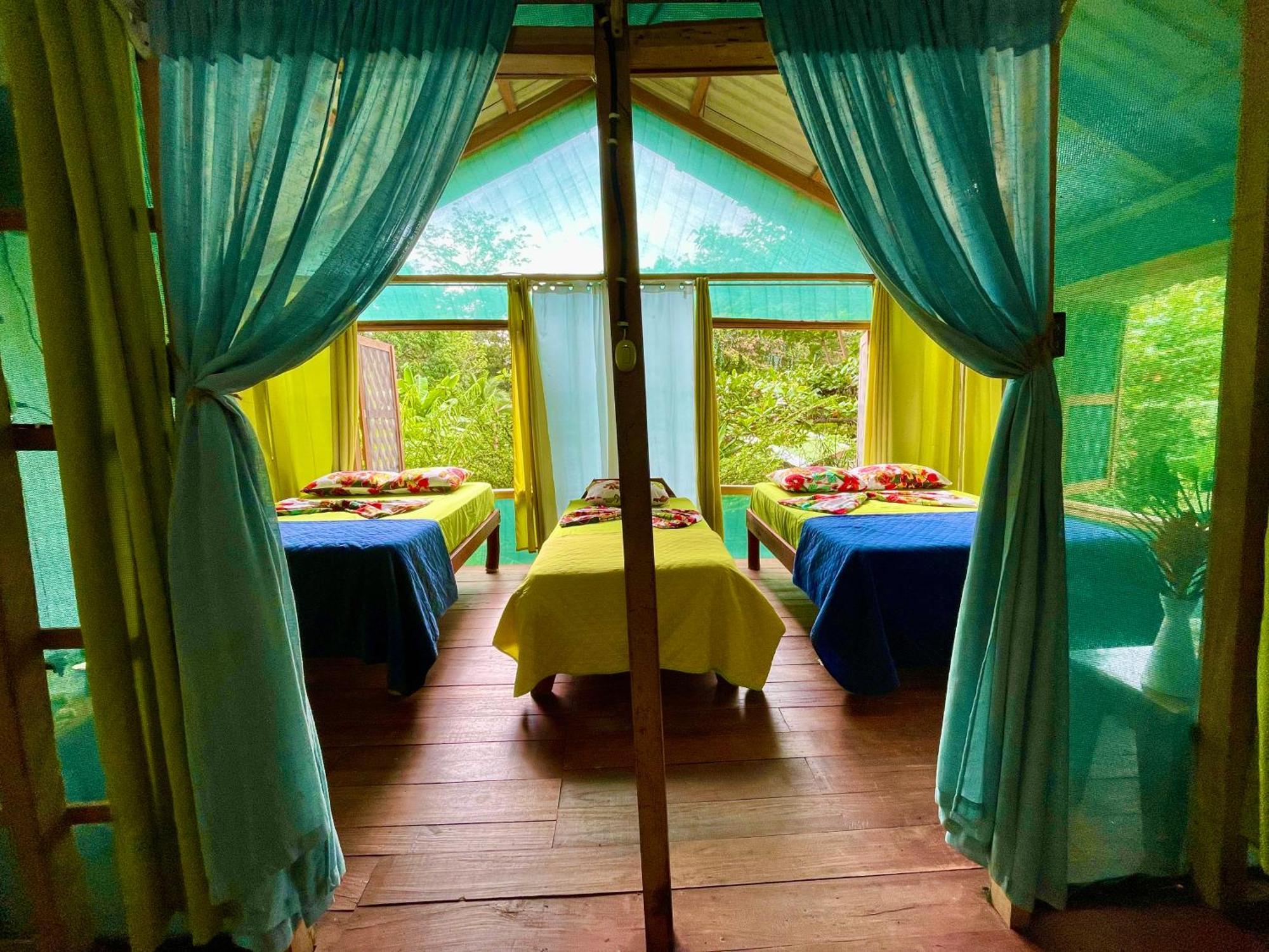 Alouatta Lodge And Canopy Cahuita Ngoại thất bức ảnh