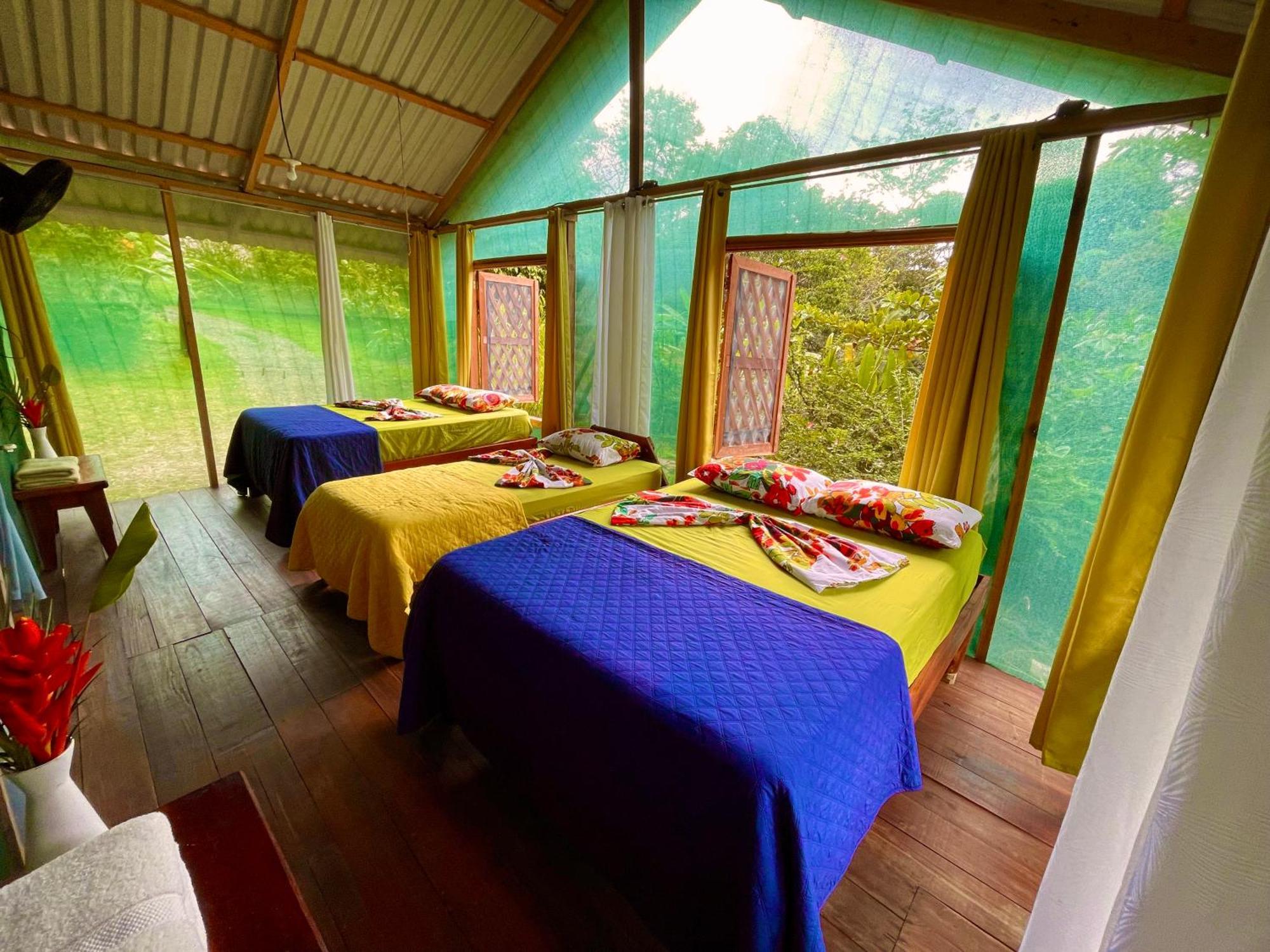 Alouatta Lodge And Canopy Cahuita Ngoại thất bức ảnh