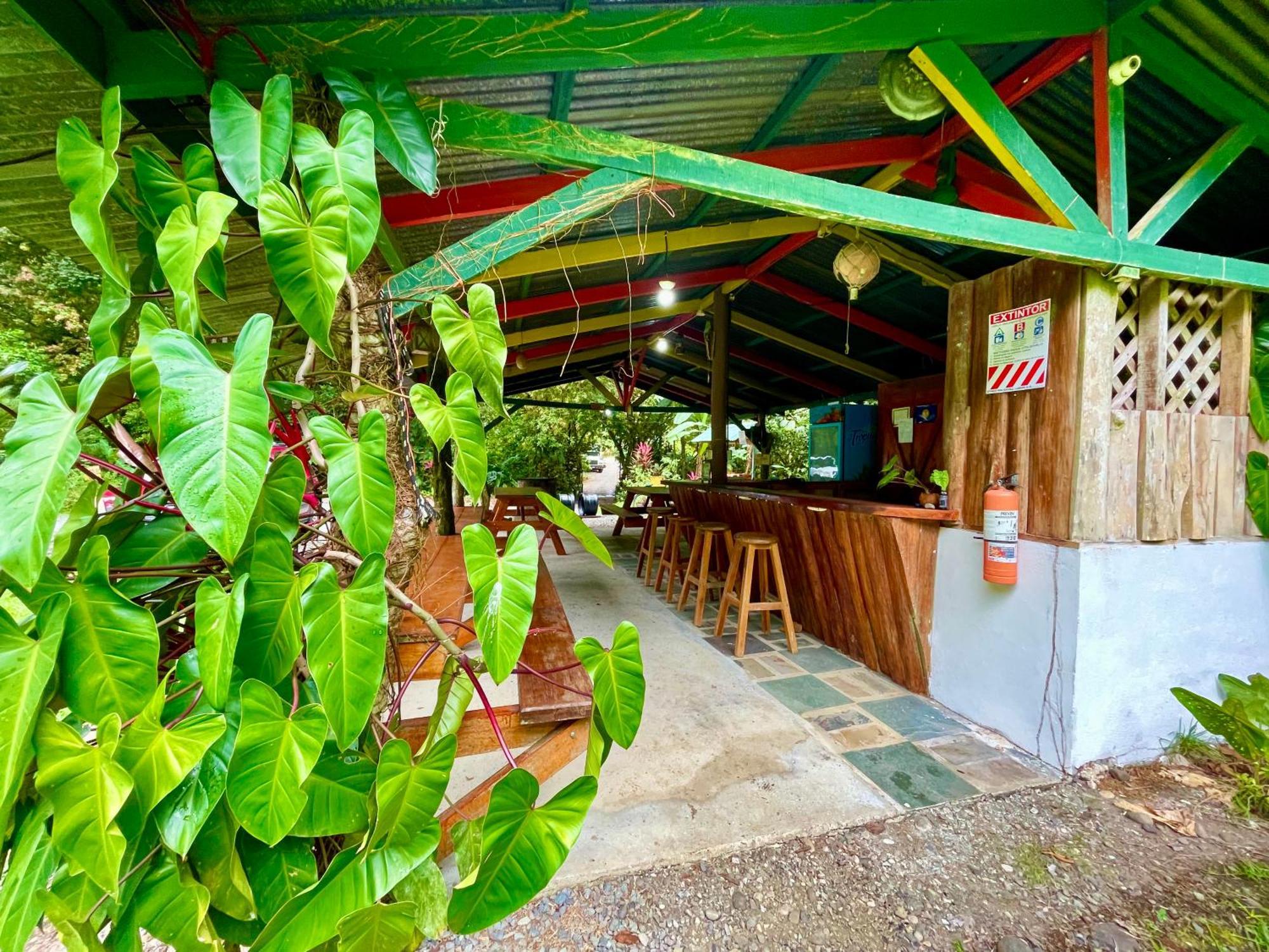 Alouatta Lodge And Canopy Cahuita Ngoại thất bức ảnh