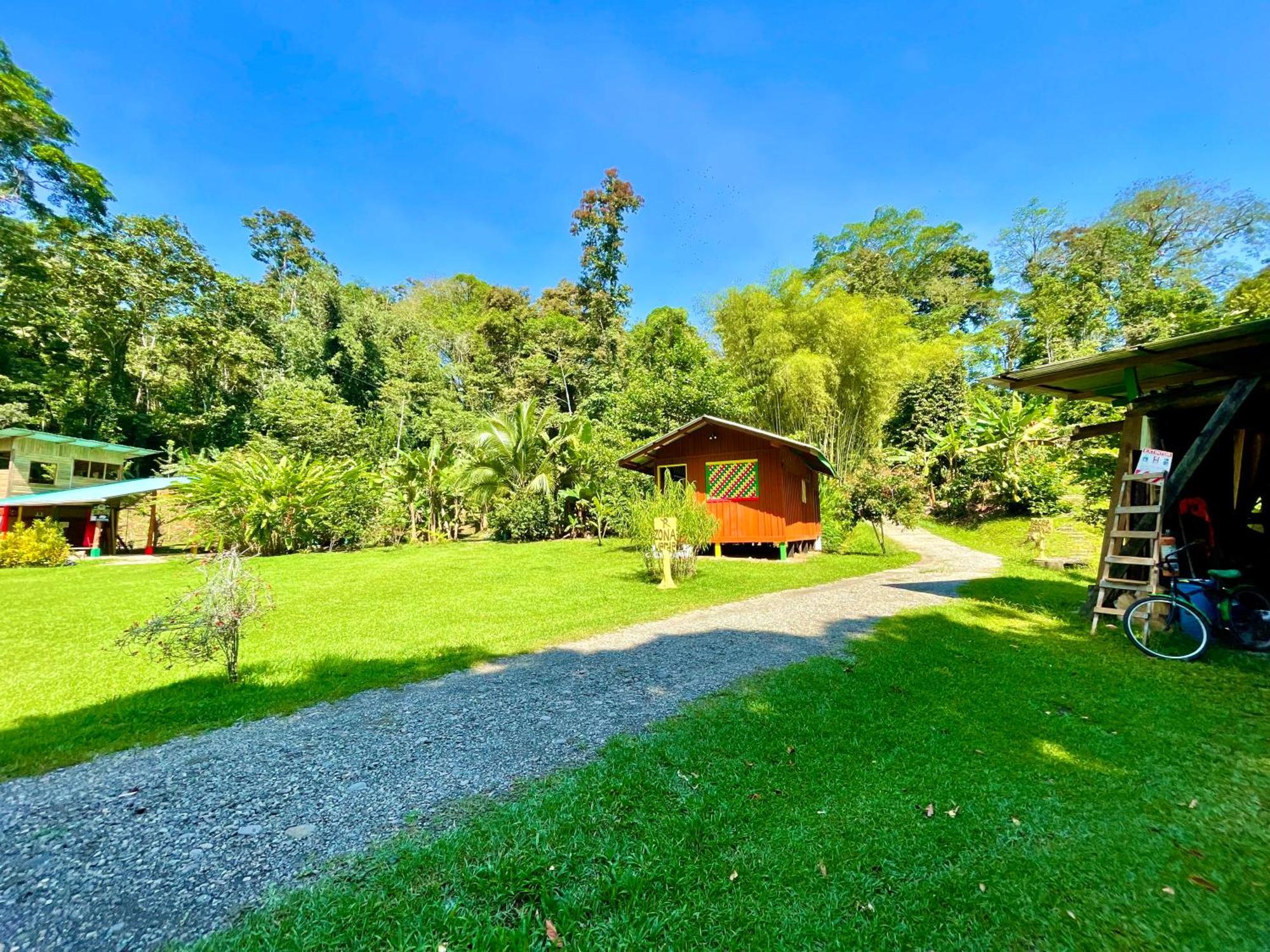 Alouatta Lodge And Canopy Cahuita Ngoại thất bức ảnh