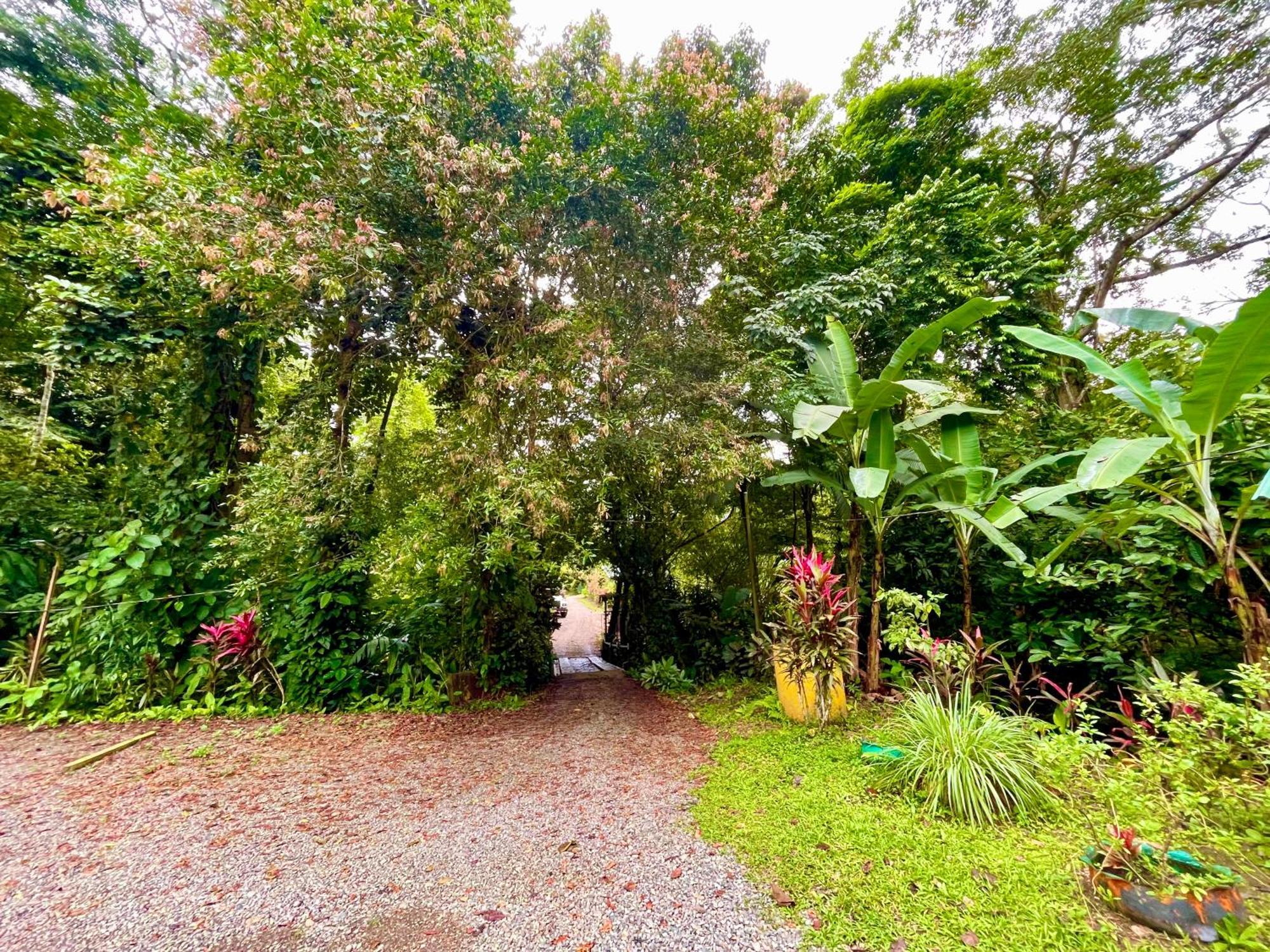 Alouatta Lodge And Canopy Cahuita Ngoại thất bức ảnh