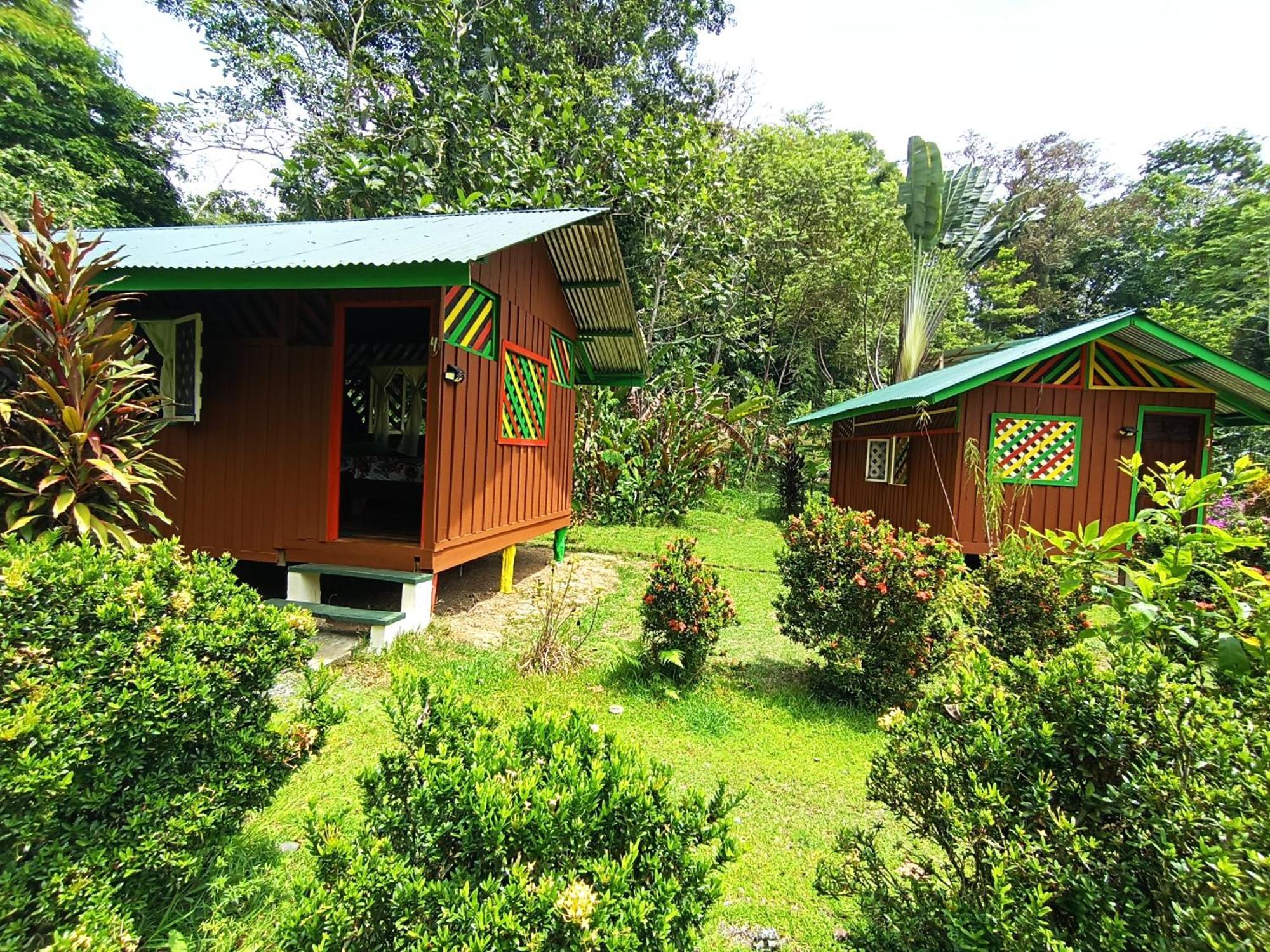 Alouatta Lodge And Canopy Cahuita Ngoại thất bức ảnh