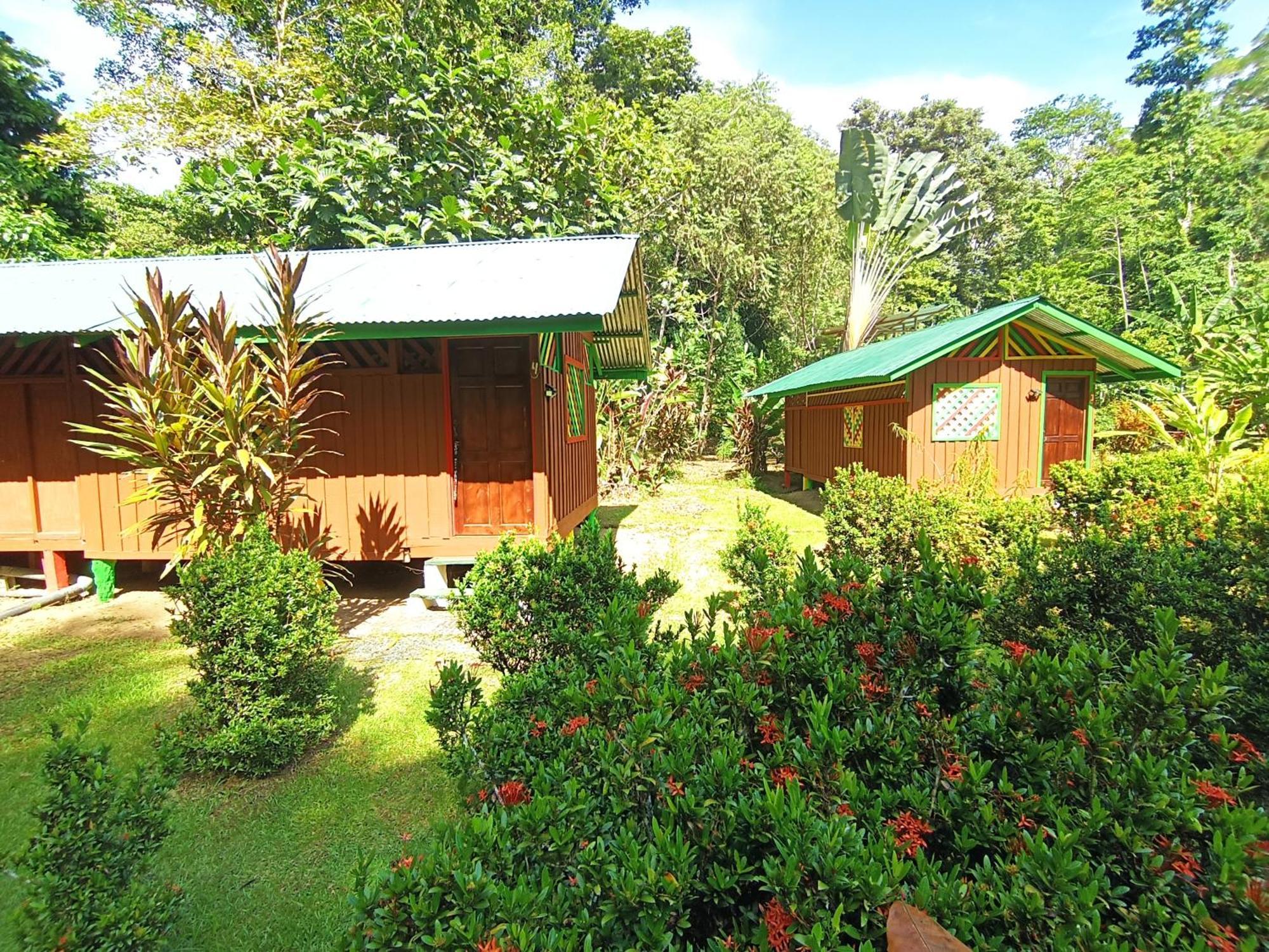 Alouatta Lodge And Canopy Cahuita Ngoại thất bức ảnh