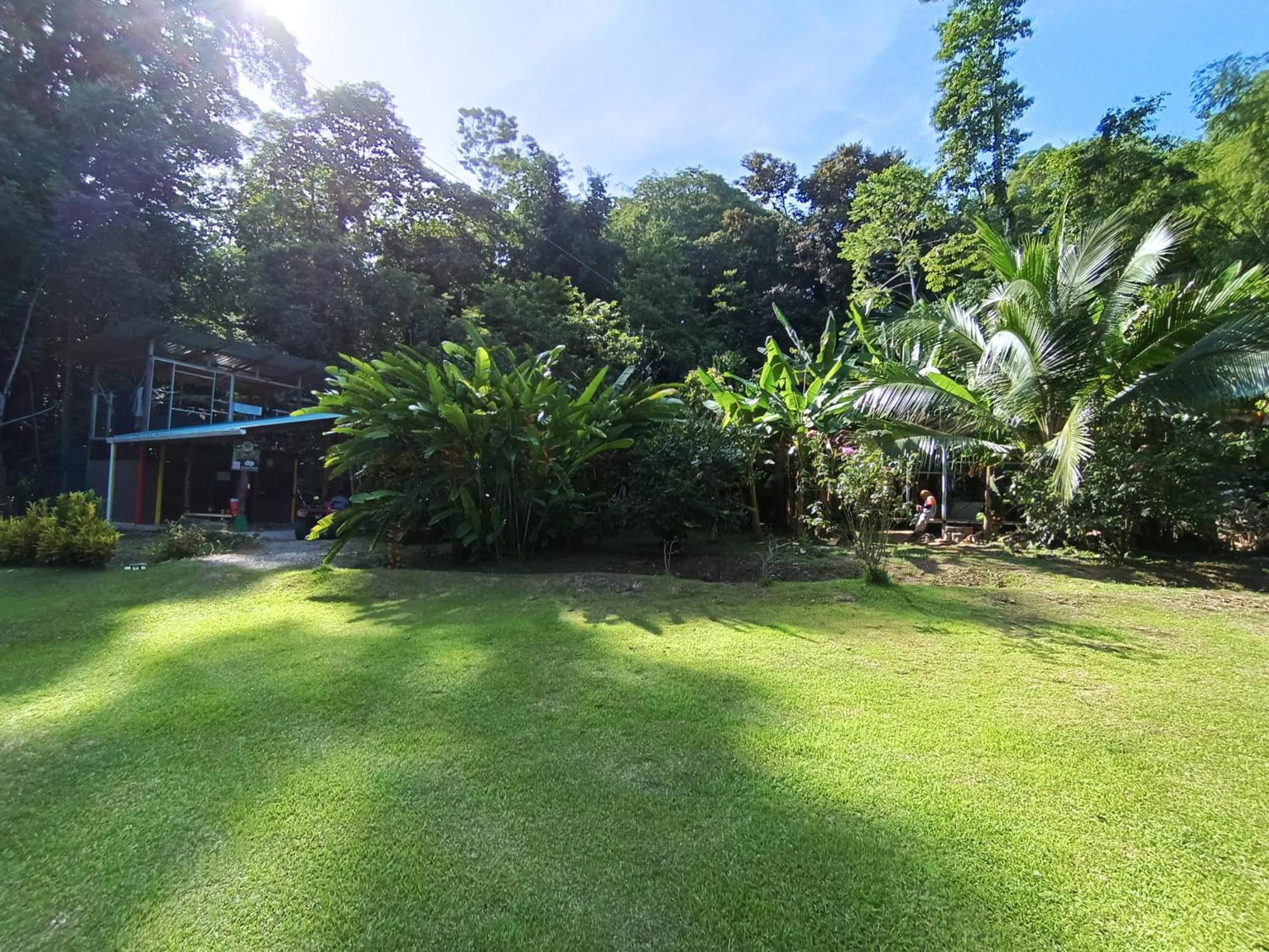 Alouatta Lodge And Canopy Cahuita Ngoại thất bức ảnh